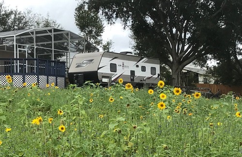 Clermont House | Cozy 1 Bedroom Mobile House with Pool on the Farm