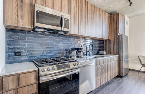 Near West Side Apartment | Modern West Loop Studio with Rooftop, Gym & Pet-Friendly Options