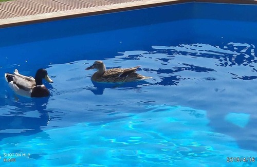 Eslohe House | Relaxing Retreat at Eslohe Health Resort with Pool & Spa