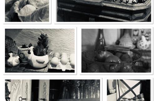 Vouvray Bed & Breakfast | Inviting Clos Mariotte: Pet-Friendly with Breakfast Included