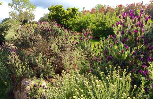 Figari House | Guest Rated 10/10 at Clos Simoni - Ideal for Families