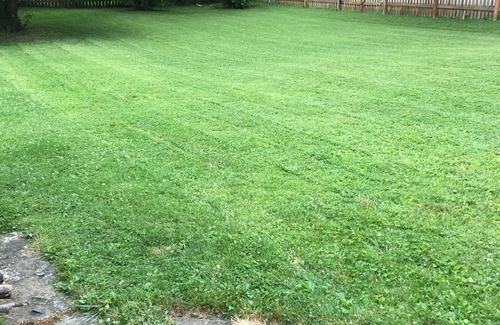 Pendleton House | Ideal Getaway Near Indy: Pool, Breakfast & Pet Friendly