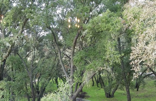 Paso Robles House | Tranquil Retreat with Pet-Friendly Amenities Near Town