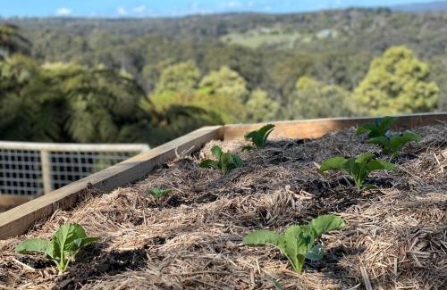 Menzies Creek Bed & Breakfast | Unforgettable Stays at Cloud View Garden with Breakfast Included