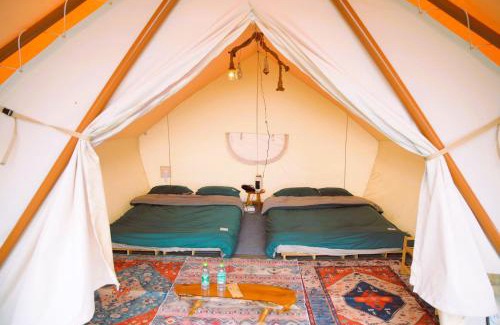 Da Lat Other | Experience Cloud9 Glamping & Cafe with Oceanfront Views