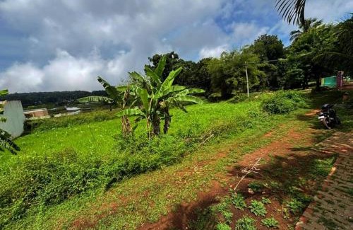 Yelagiri House | Discover Cloud9Villa Yelagiri: Pet Friendly & Family Fun