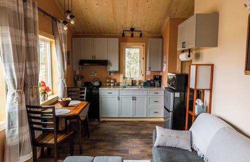 Tok Cabin | Pet-Friendly Cloudberry Cabin with Breakfast & Kitchen