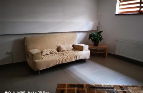 Cluj-Napoca Apartment | Guest Rated 9.5: Cluj City Marasti Apartment, Pet Friendly