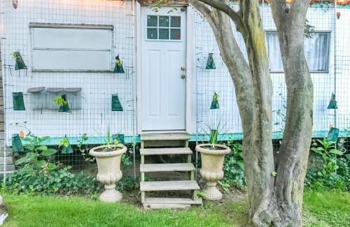 Ewing House | Budget-Friendly Co-ed Dorm with Inviting Patio & Breakfast