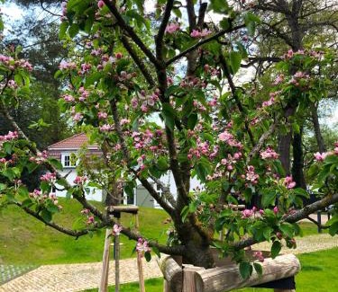 Seebad Heringsdorf Villa | Pet-Friendly Coach House with Oceanfront Views & Spa