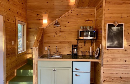 Lacy-Lakeview Cabin | Discover Coach's Quarters - Sleep Among the Trees!