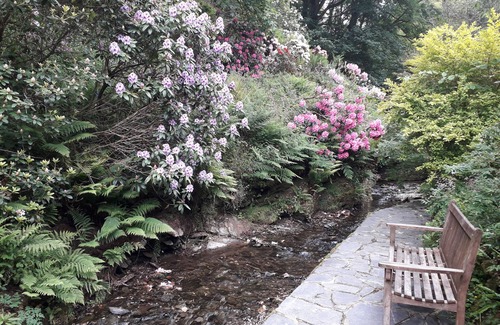 Tintagel Cottage | Beachfront Coachman's with Ocean Views and Breakfast Included