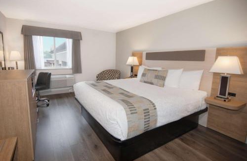 McMillan Hotel | Pet-Friendly Coast Abbotsford Hotel with Pool & Breakfast