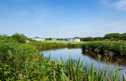 Hartland Other | Coastal Cabins Glamping: Embrace Nature with Modern Comforts