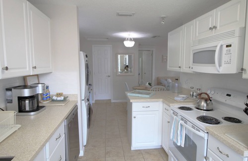 Dunedin House | Enjoy Oceanfront Living in Downtown Dunedin with Bikes!