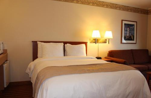Halifax Hotel | Pet-Friendly Coastal Inn Halifax - Bayers Lake with Pool