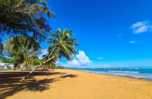 Zarzal Apartment | Beachside Puerto Rican Apartment with Oceanfront Views