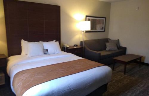 Ripon Hotel | Pet-Friendly Getaway at Cobblestone Suites - Ripon