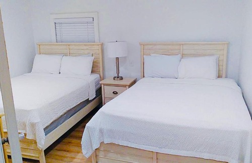 South Padre Island Hotel | Beachfront Bliss at Coco Beach Hotel with Pet-Friendly Perks