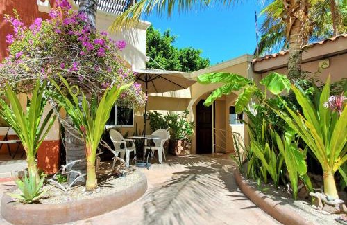 Loreto House | Experience Coco Cabañas: Pet-Friendly Ocean View Rentals