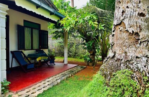 Hikkaduwa House | Family-Friendly Retreat at Coco Cabana Hikkaduwa