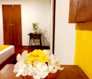 Nalagasdeniya Villa | Pet Friendly Coco Garden Villas - Guest Rated 9.8/10