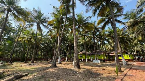 Devbag House | Family-Friendly Stay at Coco Hut, Devbaug Awaits You