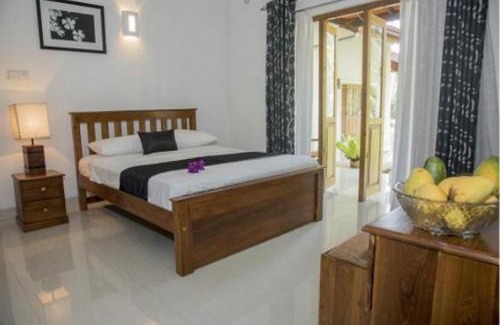 Seeduwa - Katunayake Villa | Discover Coco Villa Peach Tree - A 4-Star Guest Favorite