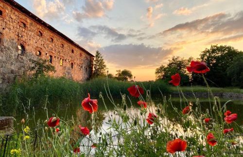 Bad Belzig Hotel | Discover COCONAT: A Unique Workation Retreat & Coworking
