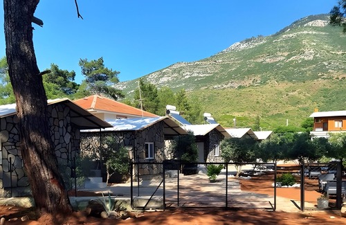 Olympos Apartment | Experience Coconut Apart: Guest Rated 10/10 with Kitchen