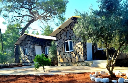 Olympos Apartment | Experience Coconut Apart: Guest Rated 10/10 with Kitchen