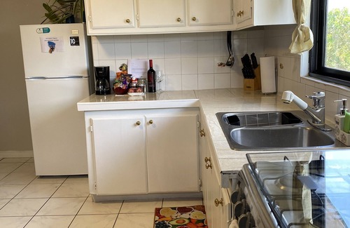 Gulf View Apartment | Relax at Coconut Drive Urban Oasis with Breakfast & Kitchen