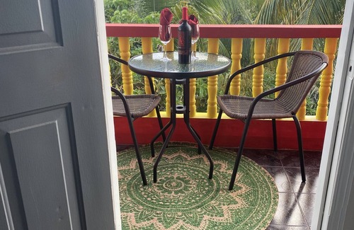 Gulf View Apartment | Relax at Coconut Drive Urban Oasis with Breakfast & Kitchen