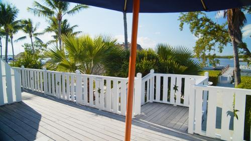 Tavernier Hotel | Experience Coconut Palm Inn: Oceanfront Bliss Awaiting You