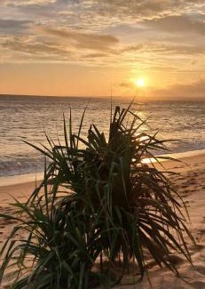 Tangalle Bed & Breakfast | Coconut Tree hill Rekawa