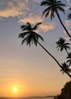 Tangalle Bed & Breakfast | Coconut Tree hill Rekawa