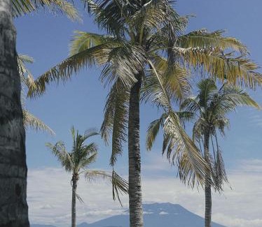 Jungut Batu House | Pet-Friendly Coconut Village Guest House with Ocean Views