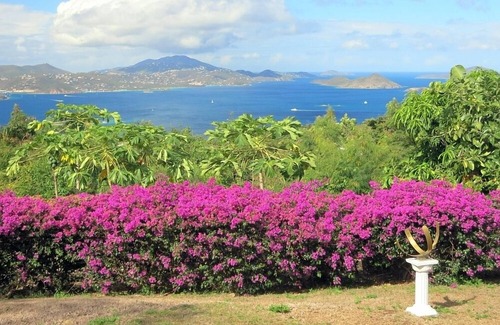 Gift Hill Villa | Experience Coconuts: Spa, Heated Pool & Ocean Views Await