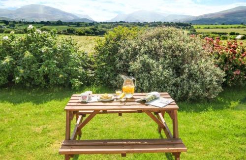Brynrefail House | Family-Friendly Coed Bolyn Lodge - Rated 9.7/10 by Guests