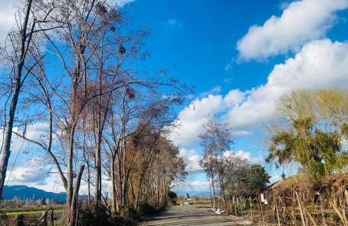 Nancagua Apartment | Colchagua Tiny Sta Cruz