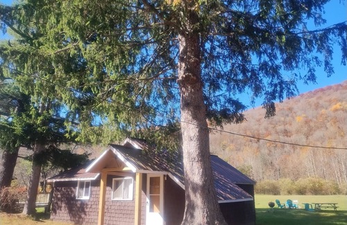 Oliverea Cabin | Cozy Catskill Cabin Retreat with Fireplace & Family Amenities