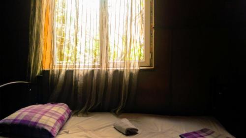 Kutaisi House | Pet-Friendly Getaway at Colibri Home with Breakfast Included