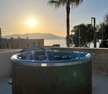 Nopigia Villa | Seafront Villa with Pool and Private Beach Awaits You