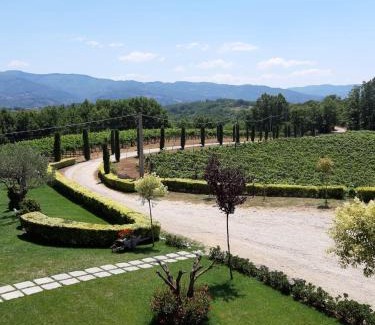 Paterno Calabro House | Family-Friendly Retreat at Colle Vermiglio Awaits You!