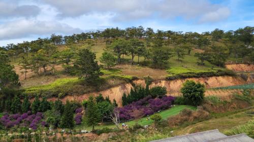 Phuong Hotel | Colmar Dalat