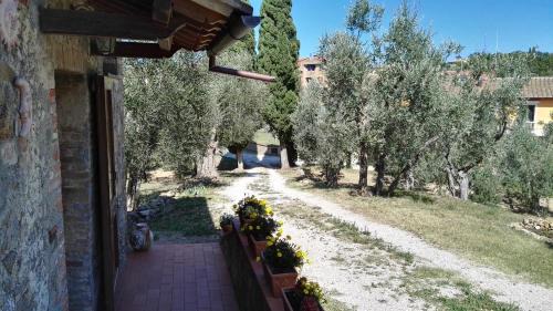 Sant'Angelo In Colle Bed & Breakfast | Pet-Friendly Colombaio In Colle: Family Fun Awaits