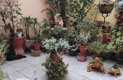 Centro Historico Apartment | Top-Rated Colonial House Instinto in Ecuador with Breakfast
