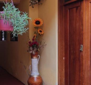 Centro Historico Apartment | Top-Rated Colonial House Instinto in Ecuador with Breakfast