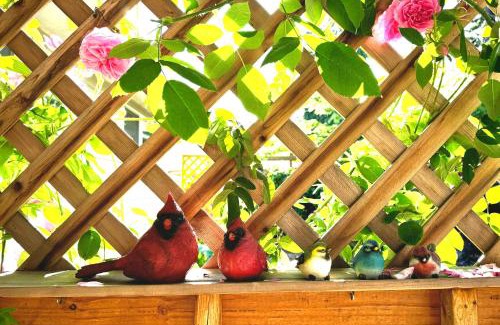 Cal Young House | Vibrant 50's Ranch Retreat in Eugene - Family Friendly Stay