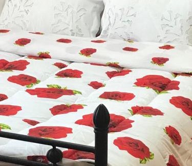 Megarchi House | Pet-Friendly COMBI HOUSE: Guest Rated 10/10 for Family Fun